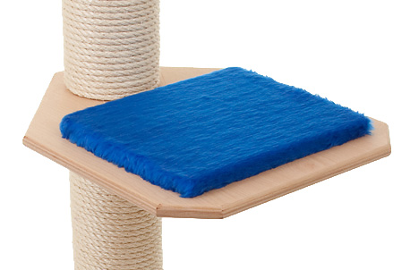 Holzfarbe: Natur - Auflage: Royalblau