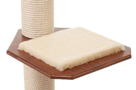 Buche-Multiplex Mahagoni