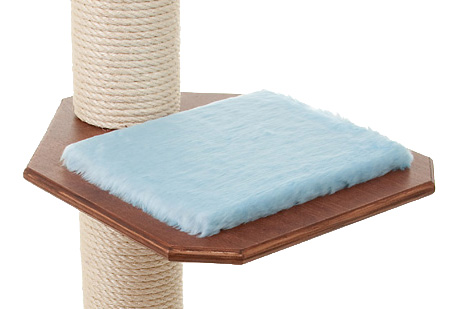 Buche-Multiplex Mahagoni