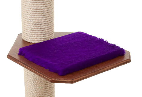 Buche-Multiplex Mahagoni