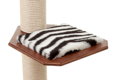 Buche-Multiplex Mahagoni