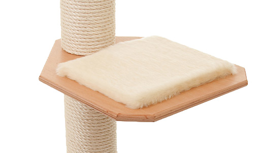 Buche-Multiplex Farbe: Buche